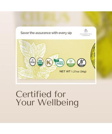 Palermo Organic Yerba Mate Tea Bags - Honey Citrus with Ginger & Turmeric | 20 Count | Energizing Antioxidant-Rich Vegan Gluten-Free - Buy Online on GoSupps.com