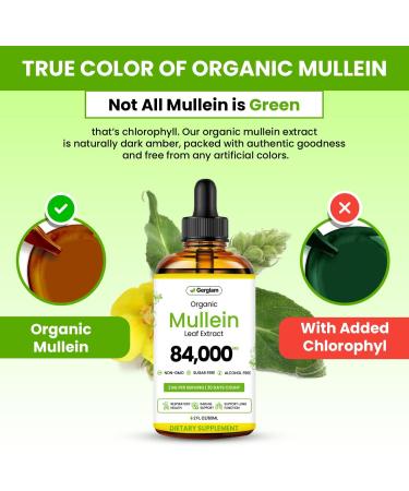 Mullein Drops for Lungs USDA Organic Lung Detox and Cleanse Liquid with Marshmallow Thyme Astragalus Orange Peel Echinacea Alcohol & Sugar Free Extract for Smokers 2 Fl Oz 2 Fl Oz (Pack of 1) - Buy Online on GoSupps.com