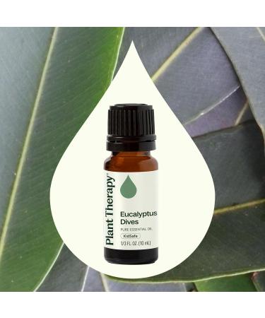Plant Therapy Eucalyptus Dives Essential Oil 10 mL (1/3 oz) 100% Pure Undiluted Stimulating Aromatherapy Oil for Diffusing Clearing & Refreshing - Buy Online on GoSupps.com