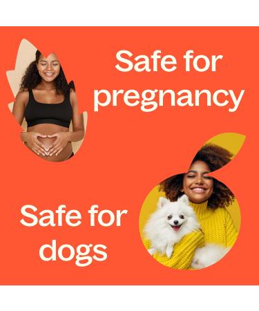 Plant Therapy Energy Essential Oil Blend 10 mL (1/3 oz) Refreshing Energizing Blend 100% Pure Pre-Diluted Roll-On Natural Aromatherapy - Buy Online on GoSupps.com