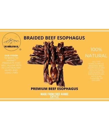 Beef Esophagus - Braided Beef Esophagus Dog CHEW Treats - (12 INCH 5 Pack Approx. 448 Grams) - Single Ingredient Beef Esophagus - 100% Natural - Rich in GLUCOSAMINE and CHONDROITIN 89.6 g (Pack of 5) - Buy Online on GoSupps.com