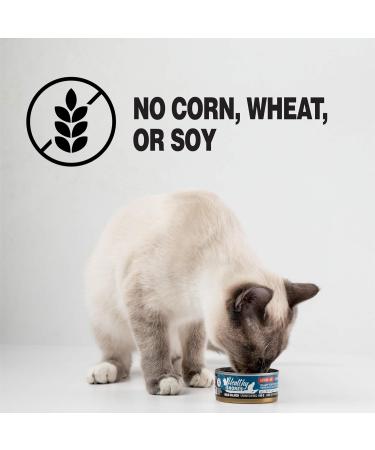 Healthy Shores Tuna Pate Cat Food - Buy Online on GoSupps.com