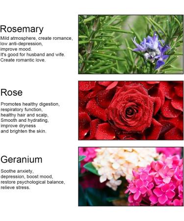 Aromatherapy Rose Essential Oil Set - 100% Pure Therapeutic Oils for Diffusers & Candles | 3x10ml Rosemary & Geranium Massage Oils - International Shipping Available - Buy Online on GoSupps.com