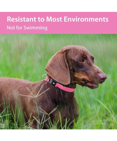 PCEOTLLAR Luminous Dog Collar - Adjustable LED Light Reflective Band for Small Medium & Large Dogs - Pink XS (25-32cm) - Buy Online on GoSupps.com