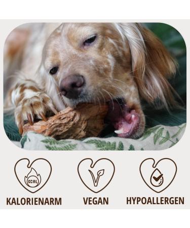 Petlove Natural Chewing Root for Small Dogs - 100% Natural Olive Oil Chewing Bone with Minerals | Size S (151-300g) - Buy Online on GoSupps.com