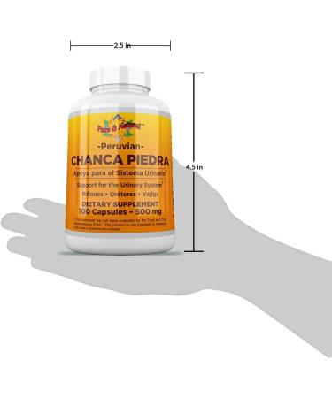 Chanca Piedra 100 Count - 500 mg Stone Breaker Capsules | Natural Kidney Health Support - Fast International Shipping - Buy Online on GoSupps.com