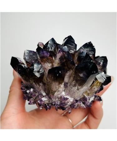 1Pcs Natural Purple Ghost Phantom Quartz Crystal Cluster Rock Stones and Crystals Reiki Specimen Home Deco Crystal Cluster (Color : 300-350g) - Buy Online on GoSupps.com