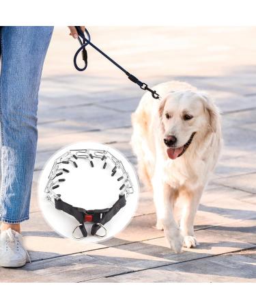 Metal Choke Chain for Dog Durable Anti Bark Collars for Pet Dog Training Outdoor Stainless Steel Prong Collar Personalised Dog Chain Collar for Large Medium Dogs (4mm*60cm) - Buy Online on GoSupps.com