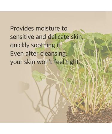 Mixsoon Centella Cleansing Foam 150 ml (Lot de 1) - Buy Online on GoSupps.com