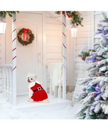 Sbayool Small Dog Clothes Pretty Cute Outfit for Dogs Holiday Birthday Party Beautiful Dog Dress Dog Gift for Chihuahua Poodle Bichon Pomeranian French Bulldog and Other Small Dog M - Buy Online on GoSupps.com