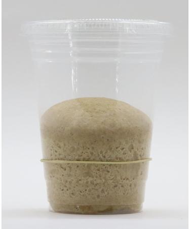 Bakerdale Organic Whole Wheat Sourdough Starter Culture - Dehydrated | Buy Online - Buy Online on GoSupps.com