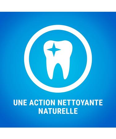 DENTALIFE Maxi Multipack for Large Dogs 72 Chew Snacks (2 x 1272g) Everyday Oral Hygiene - 1.27kg - Buy Online on GoSupps.com