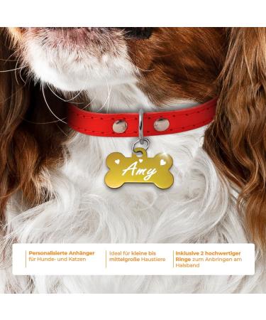 Personalized Bone-Shaped Pendants for Small & Medium Dogs & Cats | Ibera Gifts - Custom Engraved Dog Collar Accessories in Gold & Heart Design - Buy Online on GoSupps.com
