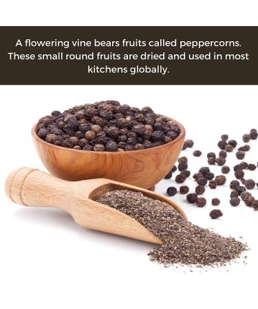 HQOExpress Organic Black Pepper Coarse 14 Mesh 16 oz Chef Jar - Premium Quality - Buy Online on GoSupps.com