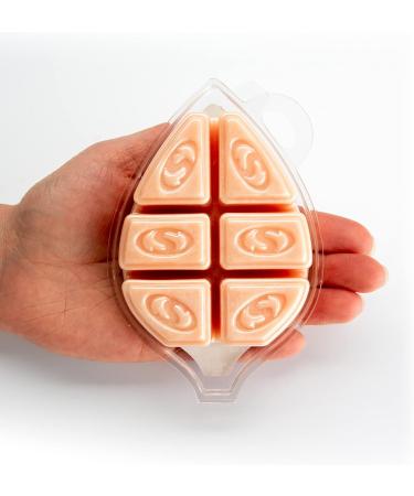 Buy Shortie s Candle Company Autumn Splendor Soy Wax Melts 3 Oz Natural Vegan Non-Toxic Highly Scented International Shipping Available - Buy Online on GoSupps.com