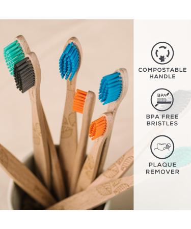 Buy GEORGANICS Natural Beech Bristles Toothbrush - Medium Green | Eco-Friendly Sustainable Oral Care | International Shipping Available - Buy Online on GoSupps.com