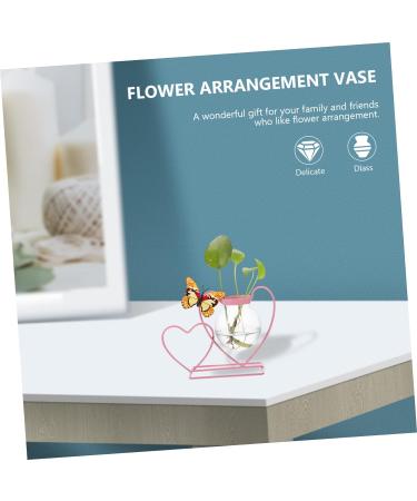 Zerodeko Wrought Iron Hydroponic Flower Pot Plein Air Frames Freesia Greenery Wall Vases for Flowers Green Plant Pot Cactus Plant Terrarium Glass Desktop Office Decorations Pink Pink 20.5X8CM - Buy Online on GoSupps.com