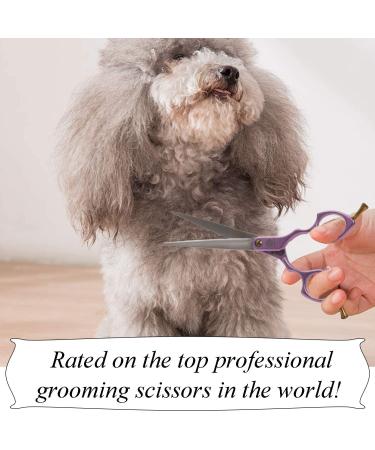 Professional Dog Grooming Scissors Shears - 6.5 Straight & Curved Blades for Precision Cutting - Rainbow Finish - Japanese Stainless Steel - Purple Handle - Buy Online on GoSupps.com