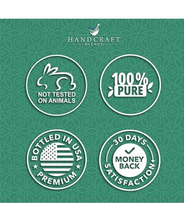 Handcraft Blends Muscle Relief Set: Fractionated Coconut Oil (16 Fl Oz) and Eucalyptus Essential Oil (4 Fl Oz) 100% Pure & Natural for Massage and Vapor Rubs - Buy Online on GoSupps.com