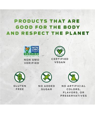 Vega One All-In-One Chocolate Nutritional Shake - Plant Based Vegan Protein Powder | Non Dairy, Gluten Free, Non GMO | 30.9oz (19 Servings) - Buy Online on GoSupps.com