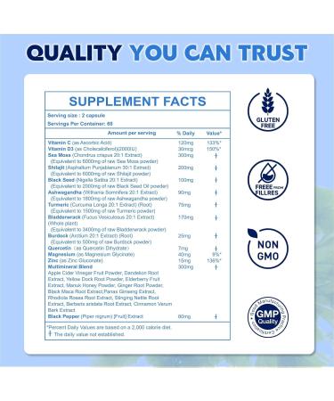 25-in-1 Sea Moss Black Seed Oil Ashwagandha Ginger Shilajit Supplement with Burdock Root Rhodiola Rosea Vitamins C & D3 Shilajit Capsules for Men & Women - Boosts Energy Skin Joints & Immunity - Buy Online on GoSupps.com