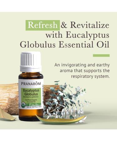Pranarom Organic Eucalyptus Globulus Essential Oil 30ml - 100% Pure Therapeutic Grade for Aromatherapy & Relaxation - Buy Online on GoSupps.com