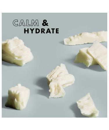 SheaMoisture African Black Soap Body Lotion with Shea Butter 13 oz - Buy Online on GoSupps.com