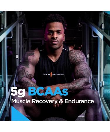 Rule 1 Whey Blend | 100% Whey Protein From Whey Concentrates Isolates & Hydrolysates | 24 Grams Protein 5 Grams BCAAs & 4 Grams Glutamine Per Serving (2LB Mint Chocolate Chip) Mint Chocolate Chip 2LB - Buy Online on GoSupps.com