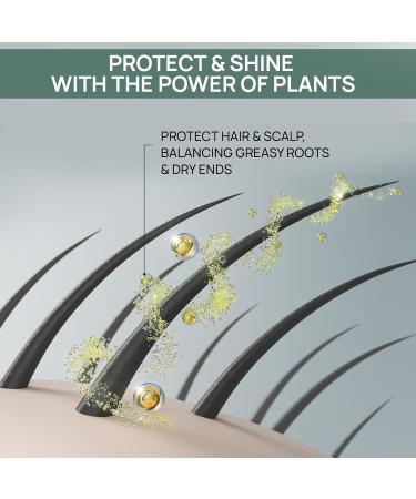  Vis Plantis ELFA PHARM brand shampoo ideal for unisex adults - Buy Online on GoSupps.com