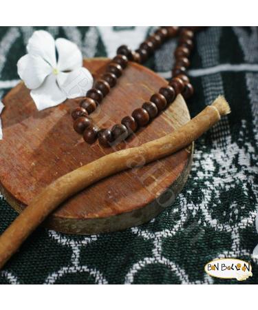Buy Miswak Sticks - Natural Herbal Toothbrush with Holder (10 Tooth Sticks + 1 Holder) | SEWAK - International Shipping Available - Buy Online on GoSupps.com