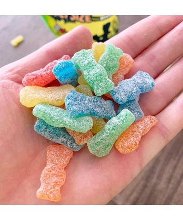 Maynards Sour Patch Kids Original Sour Candy Gummy Candy Candy Box Bulk Candy Halloween Candy 60 g (Pack of 18) - Buy Online on GoSupps.com