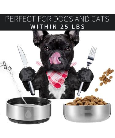 Dokipetty Leak Proof Portable Dog Water Bottle for Human and Pet - Outdoor Walking Dispenser (White/Black) - Buy Online on GoSupps.com