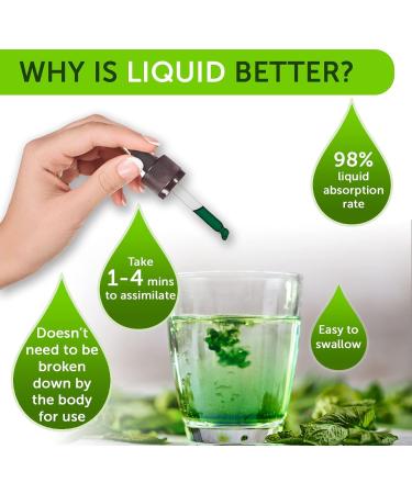 Liquid Chlorophyll Drops Chlorophyll Liquid Drops for Water Chlorophyll Liquid Drops Energy Boost Immune System Support - Buy Online on GoSupps.com