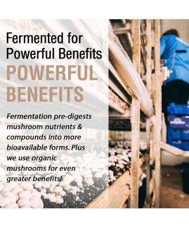 Buy Solaray Organic Fermented Mushroom Complete 600mg â€“ 60 Vegan Capsules for Wellness - Buy Online on GoSupps.com
