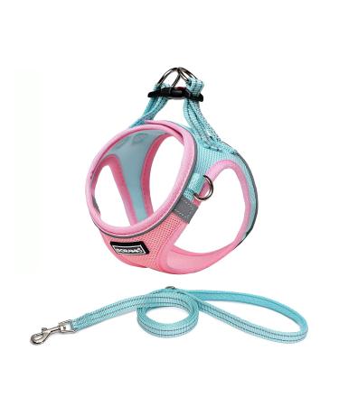 Doramio dog harness Small dogs with a leash step-in dishes reflective breathable breathable breast dishes anti-train safety dishes cat dishes for small dogs cats (L pink blue) l pink blue - Buy Online on GoSupps.com