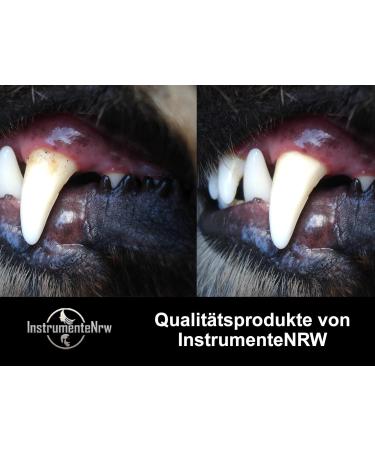 Premium Double-Sided Stainless Steel Dog Tooth Cleaner - Tartar Remover & Scaler for Pets | Effective Oral Care - Buy Online on GoSupps.com