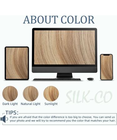 Silk-co Clip in Hair Extension Blonde Human Hair One Piece Real Remy Hair Extenion Straight 3/4 Full Head (14"-45g 60 Platinum Blonde) - Buy Online on GoSupps.com