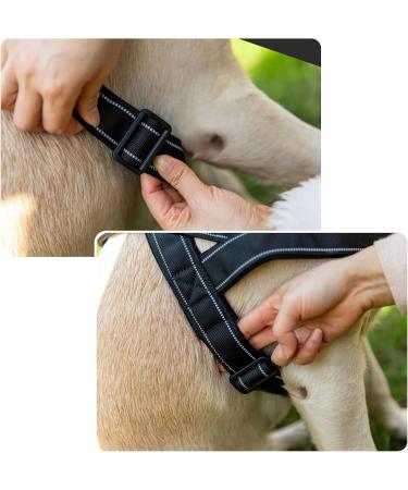 Buy Eeyfarog No Pull Dog Harness for Small & Medium Dogs - Reflective Adjustable Erosion-Proof - Black L - Buy Online on GoSupps.com