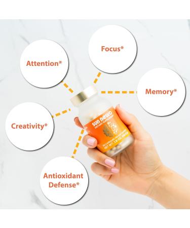 Sun Chlorella Sun Neuro Nootropic Brain Supplement - Daily Memory Concentration & Focus Supplement for Women & Men - Natural Plasmalogen Boost from Sea Pineapples - 180 Capsules - Buy Online on GoSupps.com