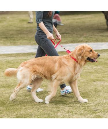 Premium Martingale Dog Collar - Adjustable Durable No Escape Nylon for All Sizes - Red (L: 42cm-66cm) - Buy Online on GoSupps.com