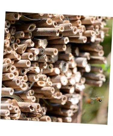 Bee House Bee Tubes 50pcs:Mason Bee Tube Refill Ground Mason Bees for Bee Storage Tubes Bee Habitat Mason Bee House Tubes Carpenter Bee House Mason Bee Paper Inserts Hive Lining - Buy Online on GoSupps.com
