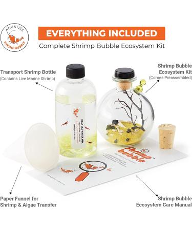 Shrimp Bubble Self-Sustaining Ecosystem in Amber - Eco-Friendly Home Decor - Buy Online on GoSupps.com