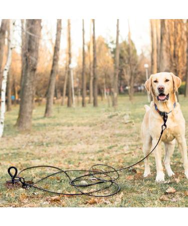 Dog Tie Out Stake for Large Dogs Heavy Duty Dog Ground Stake for Yard Camping Or at The Beach Rust Proof Dog Anchor Yard Stake Holds The Dogs Over 150lbs Dog Stake - Buy Online on GoSupps.com