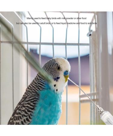 Cocoarm Parrot Feeding Syringe - 20ml Plastic & Stainless Steel - Handheld Bird Feeding Tool - Precise Control & Heat-Resistant Injection Tube - Buy Online on GoSupps.com