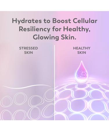 Olay Super Serum Night Repair Fragrance-Free Trial Size - Niacinamide Peptide Salicylic & Lactic Acid Glycerin - 5-in-1 Skin Care Benefits - Hydrating Reduces Dark Spots Anti-Aging 0.4 Oz - Buy Online on GoSupps.com