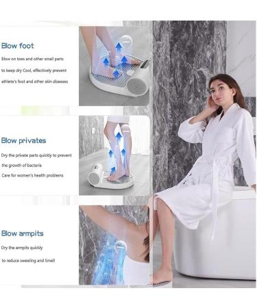 Full Body Dryer 1350W Negative Ions Body Heater Blow Dryer with Warm and Cool Wind Fast and Convenient Drying Customizable Air (US Plug 110V) - Buy Online on GoSupps.com