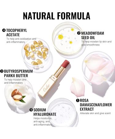  oulac Oulac Matte Lipstick Velvet Long Lasting Anti-Soil Non-Transfer Moisturizing Formula with Rose Oil Cruelty-Free RM01 - Buy Online on GoSupps.com