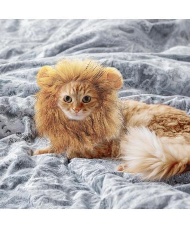 Shop Lion Mane Caps & Costumes | Furry Lion Wigs & Accessories for Easter Festival Parties - Buy Online on GoSupps.com