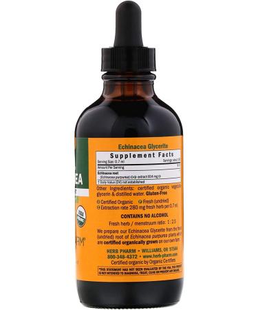 Herb Pharm Echinacea Alcohol-Free | 4 fl oz (120 ml) - Immune Support Supplement - Buy Online on GoSupps.com
