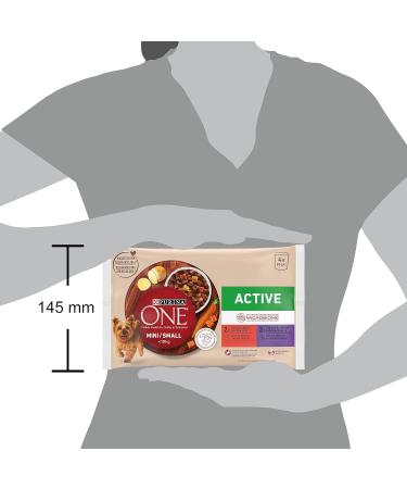 Purina One Active Humido Dog Beef and Duck in Sauce Multipack 48 envelopes of 85 g - Buy Online on GoSupps.com